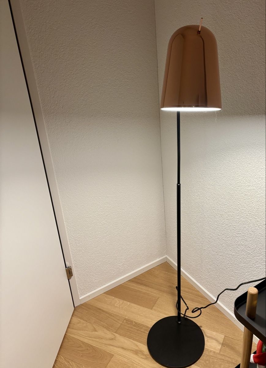 Pfister Lampen: Stehlampe Pfister – Gebraucht aus Bern von annemana 1
