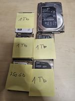 6 Festplatten Hdd
