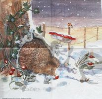 Serviette igel (rar)