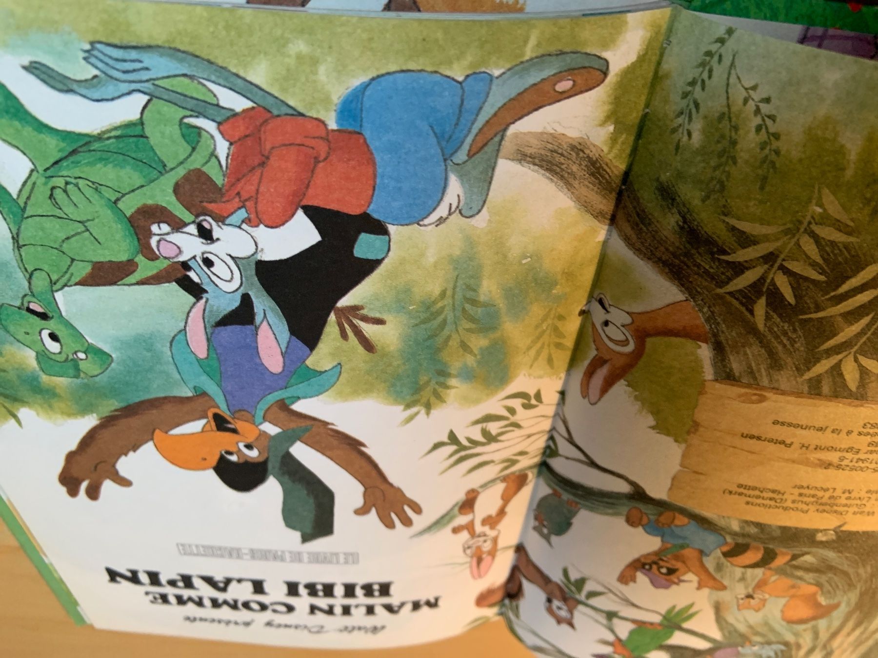 Libri: Livre enfants – Usato da Ecublens VD venduto da timily 1