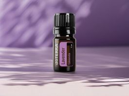 dōTERRA Lavendelöl 5 ml – Schlafhilfe & Entspannung – Neu!