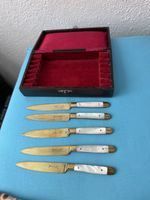 Besteck Stahl-Bronze 5 Messer mit Schatulle guter Zustand