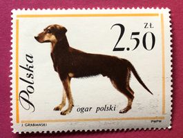 Briefmarken aus Polen Hunde UNGESTEMPELT