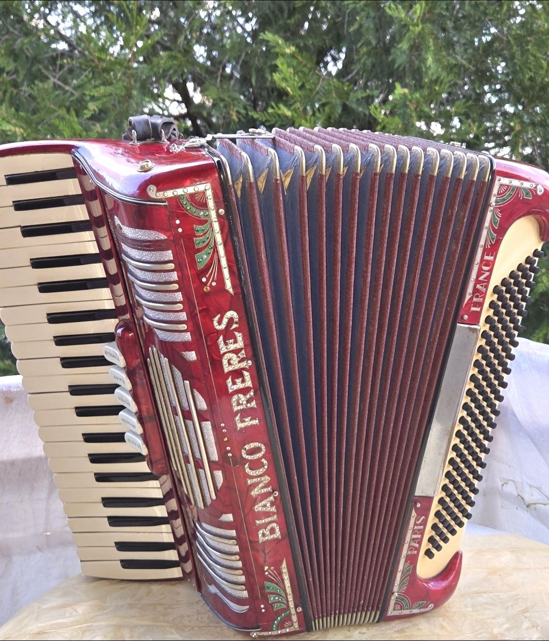 Instruments de musique: Accordéon Bianco Frères  – D'occasion à Penthalaz par EvandroLuz 5