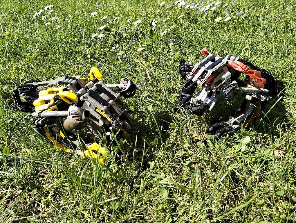 Kit di costruzioni: Lego Technics Bionicle 8538 Muaka e Kane Ra – Usato da Locarno venduto da gab_22kt 3
