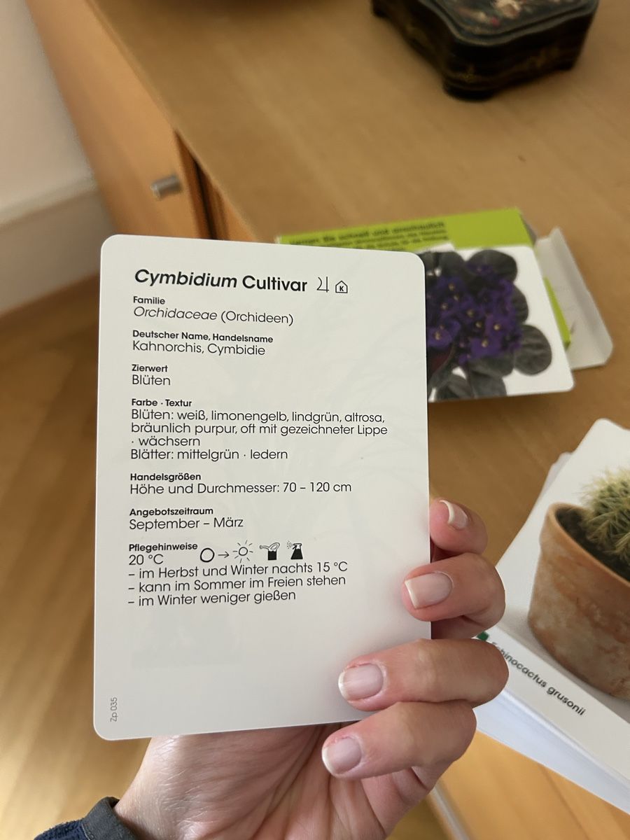 Altro materiale scolastico: Zimmerpflanzen-Lernkarten: 100 Basics – Nuovo (secondo la descrizione) da Brugg venduto da Le3712 7