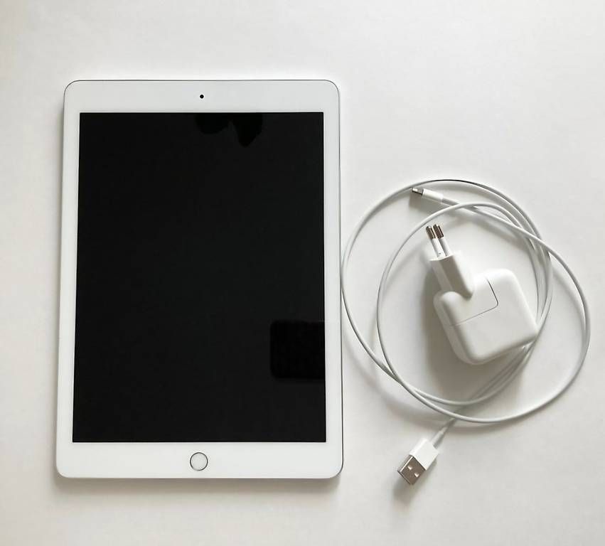 Tablet PC: I-Pad 6.Generation 32 GB – Usato da Dielsdorf venduto da cmo_c6hy 1