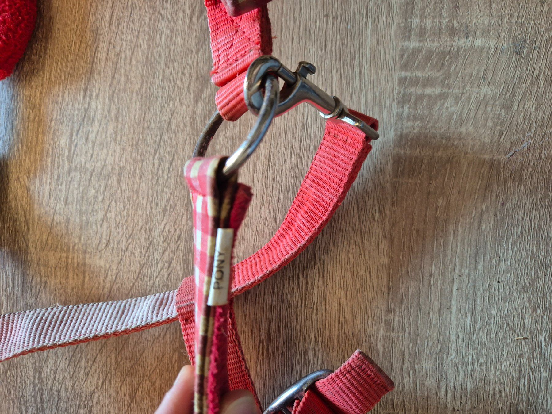 Brides, licols: Halfter Pony – D'occasion à Meggen par Orrinka20 1