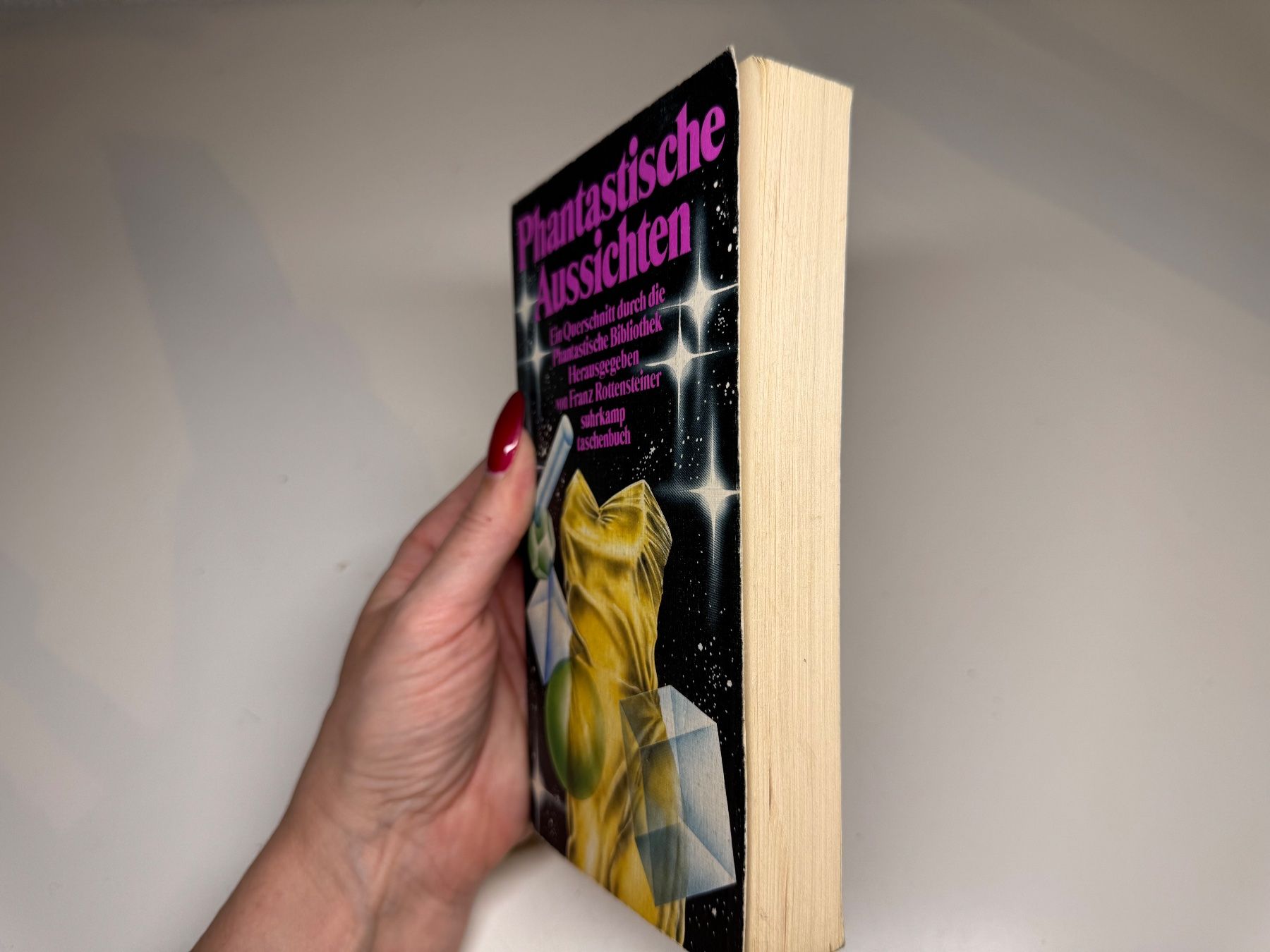 Libri: BUCH: Phantastische Aussichten – Usato da Grosswangen venduto da Kleine.Knoepfe 1