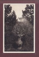SEGANTINI Grab auf dem Friedhof MALOJA - 1923