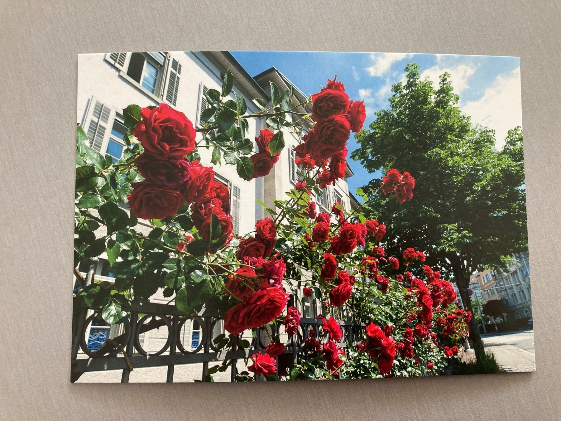 Ansichtskarten: Postkarten Blumen – Neu und originalverpackt aus Obfelden von miau68 2