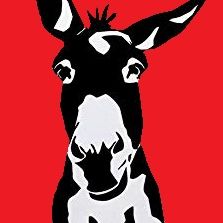 Profile image of ku.huber