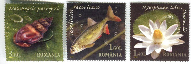 Tutti i francobolli: Briefmarken "Fische, Seerosen". Rumänien – Nuovo e nell'imballaggio originale da Basel venduto da Butsch5