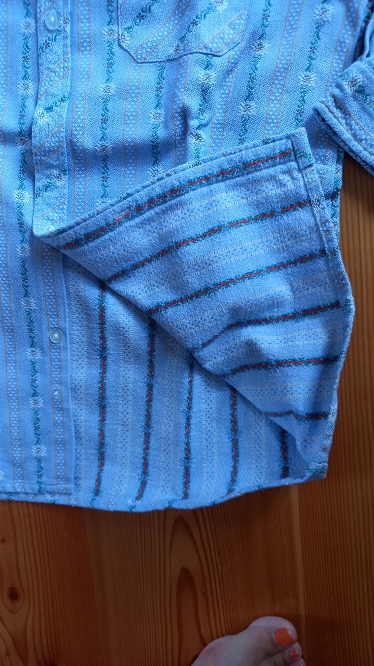 Camicie, T-shirt & Polo: Jungen Edelweiss-Hemd Bremo Textil Grösse 152  – Usato da St. Gallen venduto da Otterndorf 2