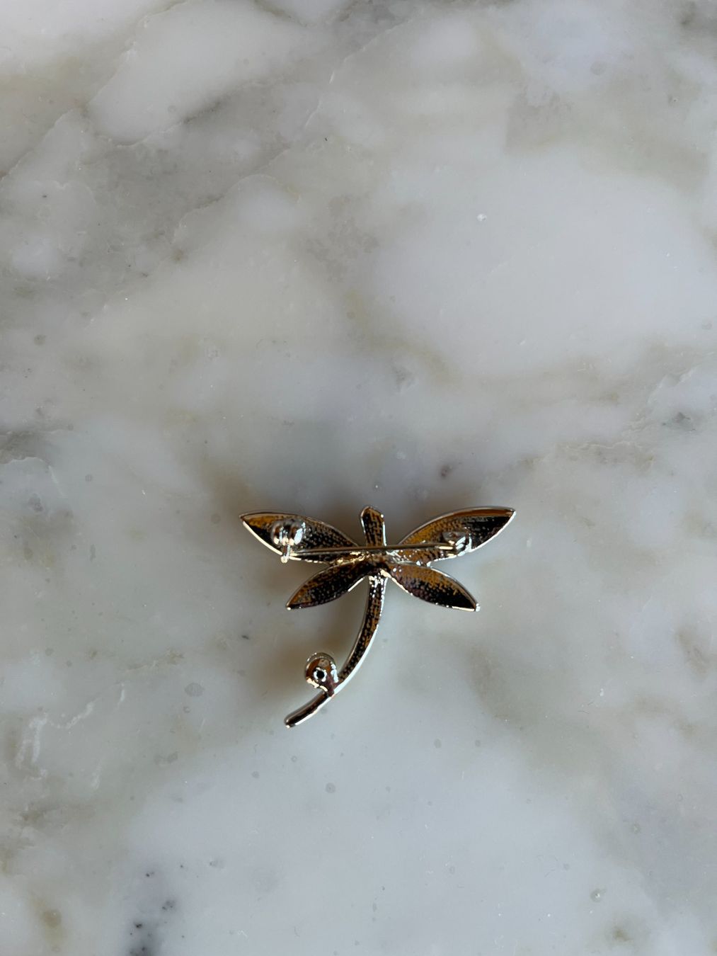 Broches & Aiguilles: Libelle, Modeschmuck – Neuf (Voir description) à Bern par cubus01 1