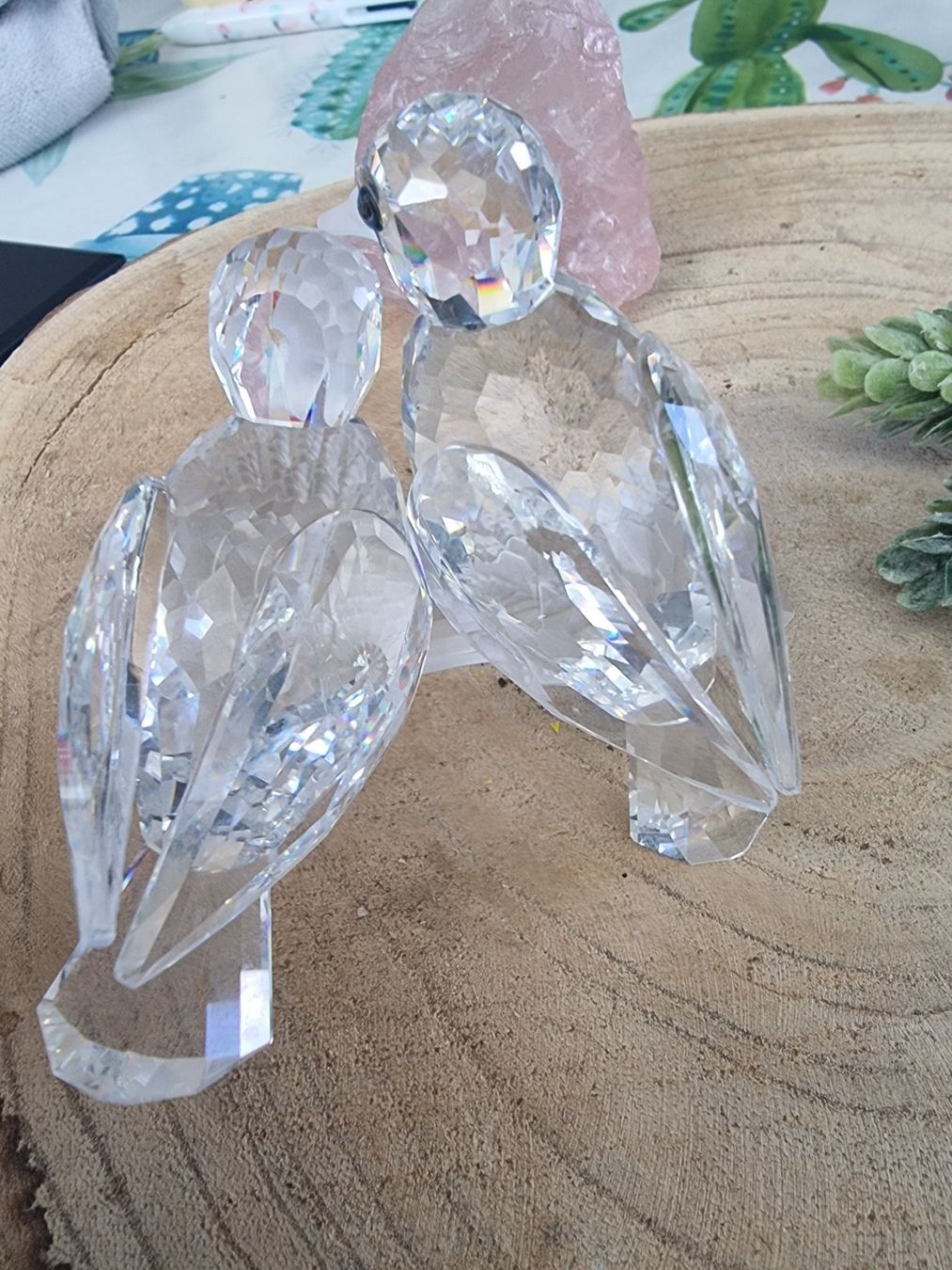 Swarovski Statuette: Swarovski TURTLEDOVES – Usato da Egerkingen venduto da sirod05 5