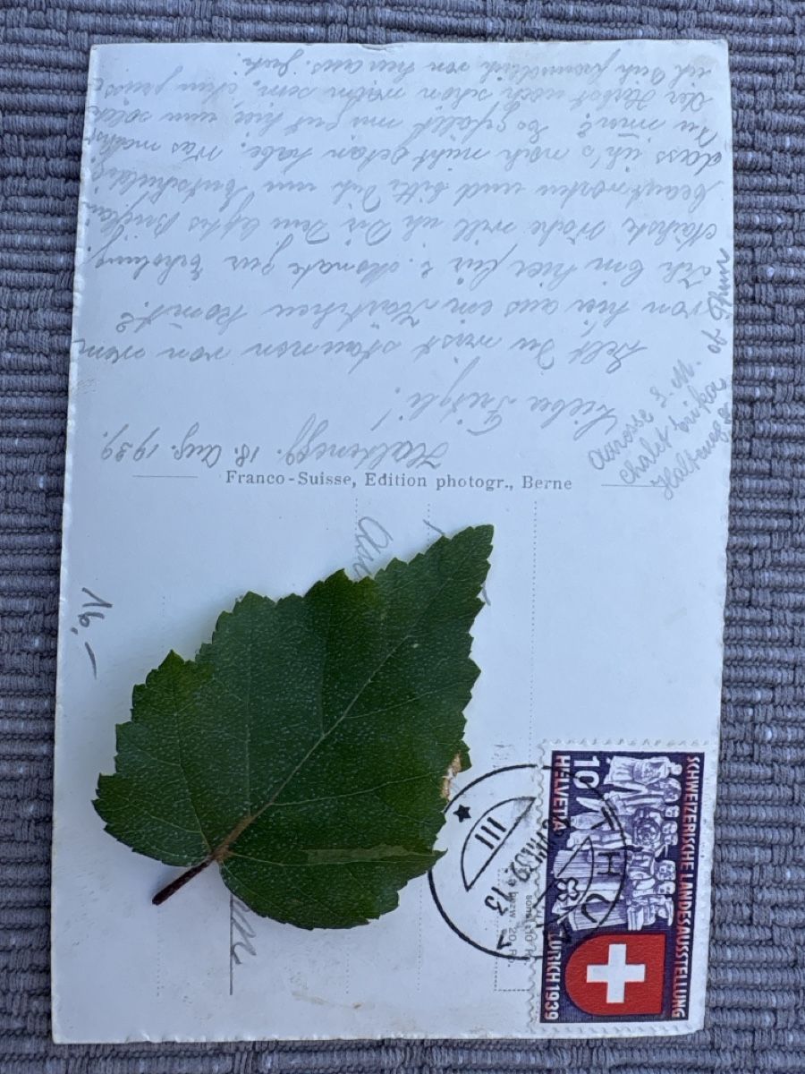 Cartoline postali: AK von Chalet Erika Haltenegg – Usato da Rümlang venduto da Brieftaube1 1