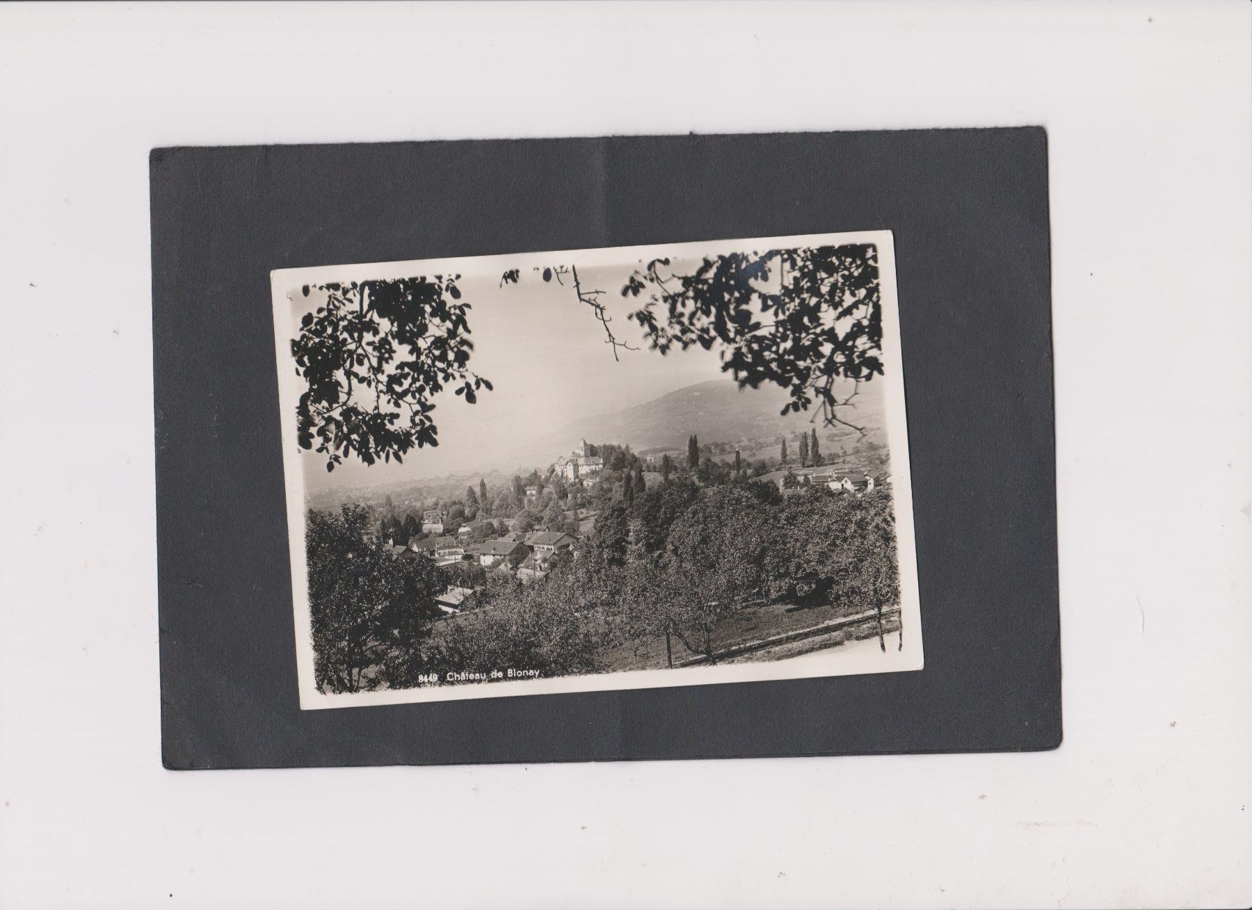 Cartes postales: Carte postale château de Blonay – D'occasion à Bex par Canouille