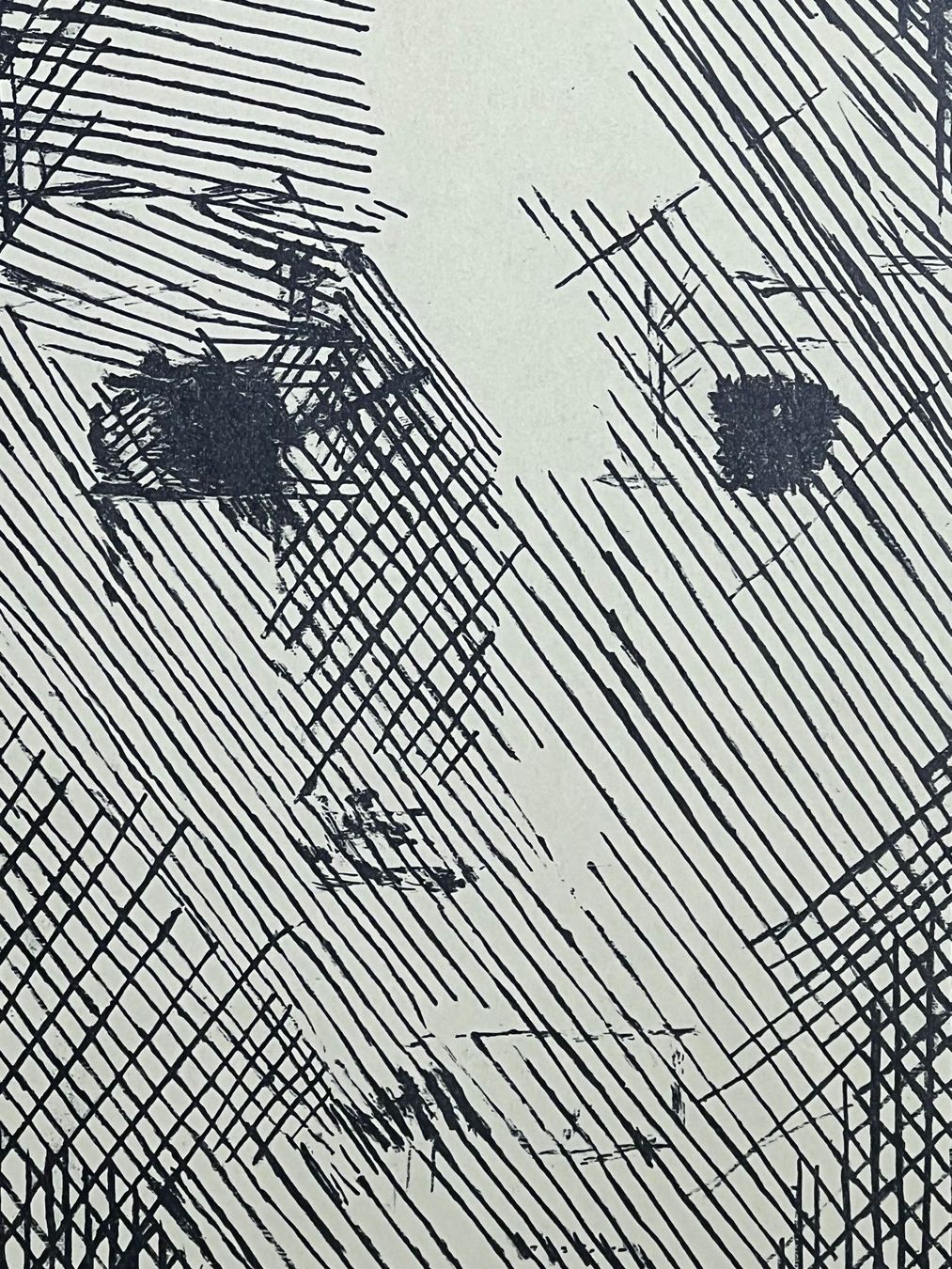 Foto & Immagini: Jacques Villon ,1875 - 1963 / Junges Mädchen / Plakat – Usato da Brüttisellen venduto da Betty_1972 4