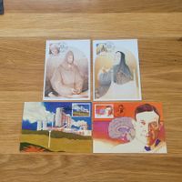 Lot Cartes Maximum
