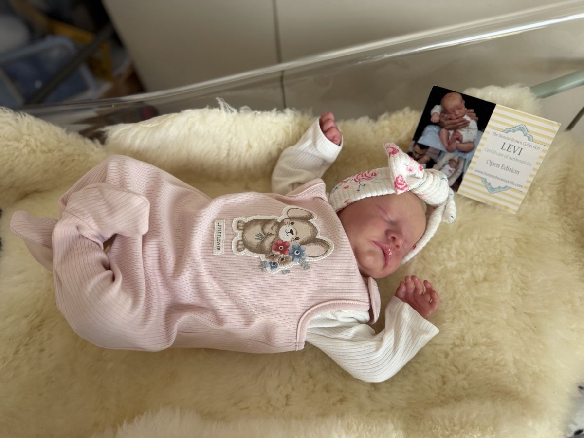 Reborn Puppen: Reborn – Neu (gemäss Beschreibung) aus Unterentfelden von van_m8g7 2