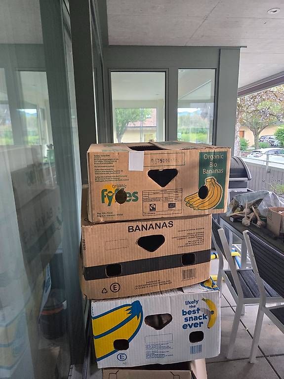 Cartoni: Bulle - A donner cartons de déménagement  – Usato da Bulle venduto da mur_7mwd 1