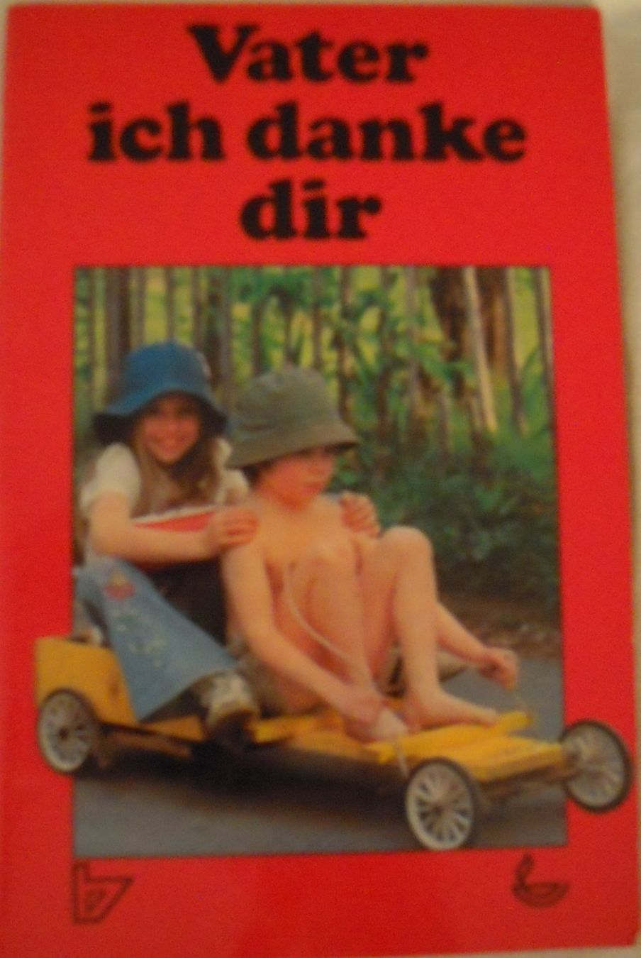 Libri: Vater ich danke dir – Usato da Heimberg venduto da Rockenrol