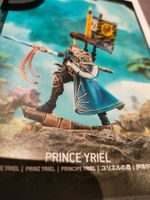 Warhammer 40k, Prinz Yriel Aeldari Eldar
