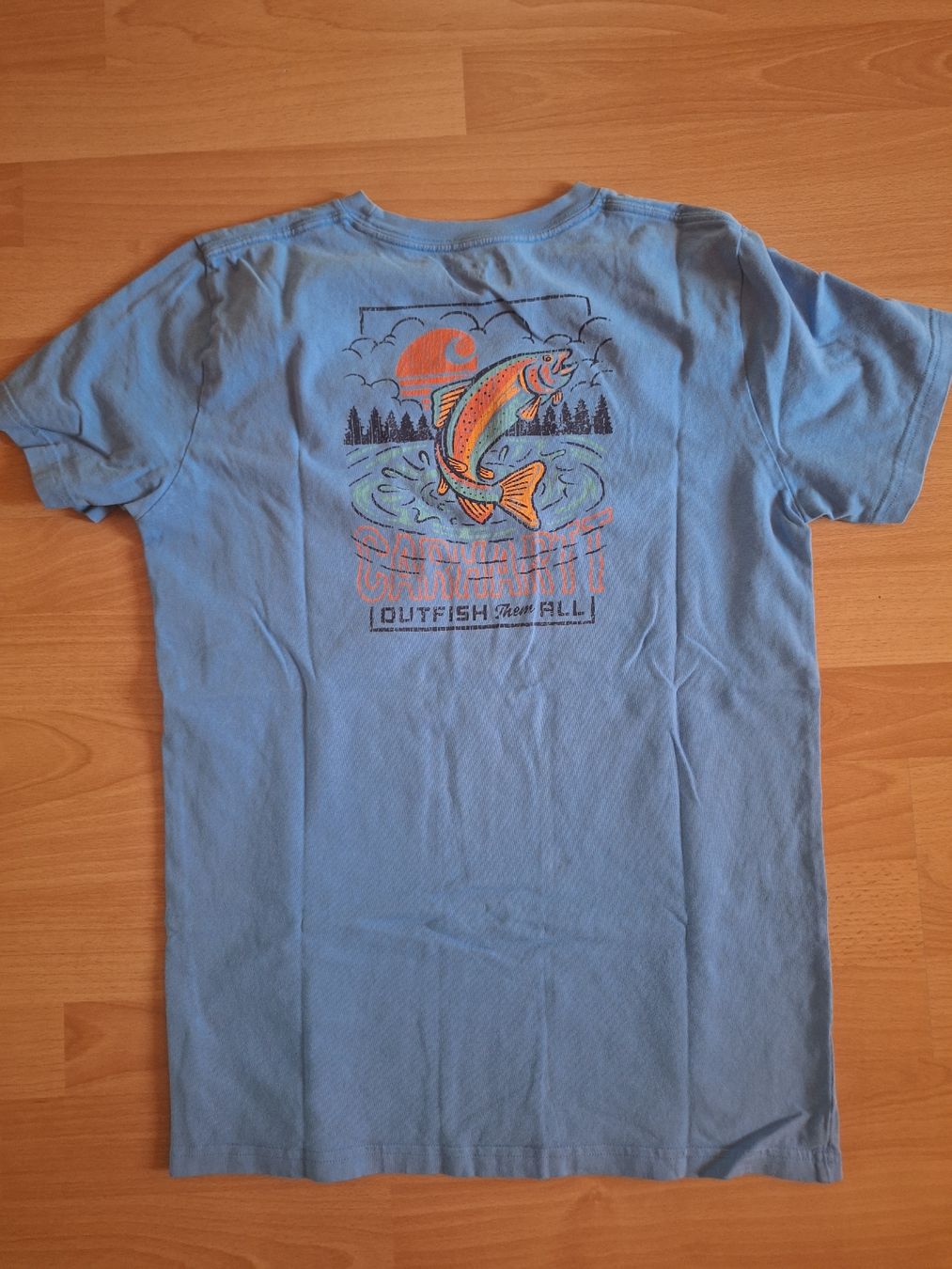 Carhartt Hemden, T-Shirts & Polos: Carhartt Tee – Gebraucht aus Glarus von mar_w6qy 2