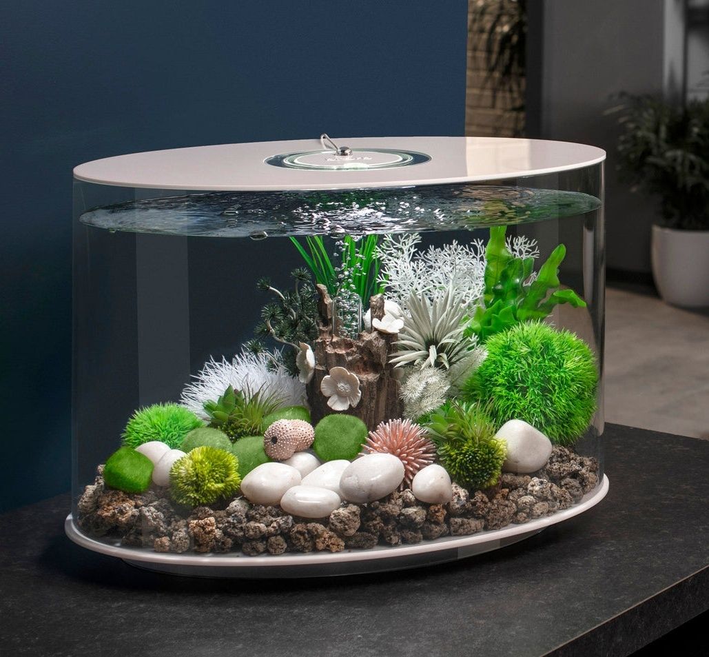 Biorb Acquari: aquarium Biorb Loop 30l – Nuovo (secondo la descrizione) da La Tour-de-peilz venduto da drueed_bis