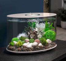 aquarium Biorb Loop 30l