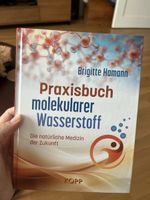 Praxisbuch molekularer Wasserstoff Brigitte Hamann