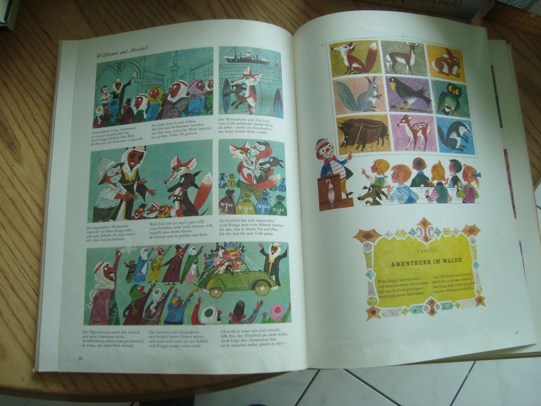 Libri: Ringgi + Zofi (1 Buch) – Usato da Aesch LU venduto da wysshan 2
