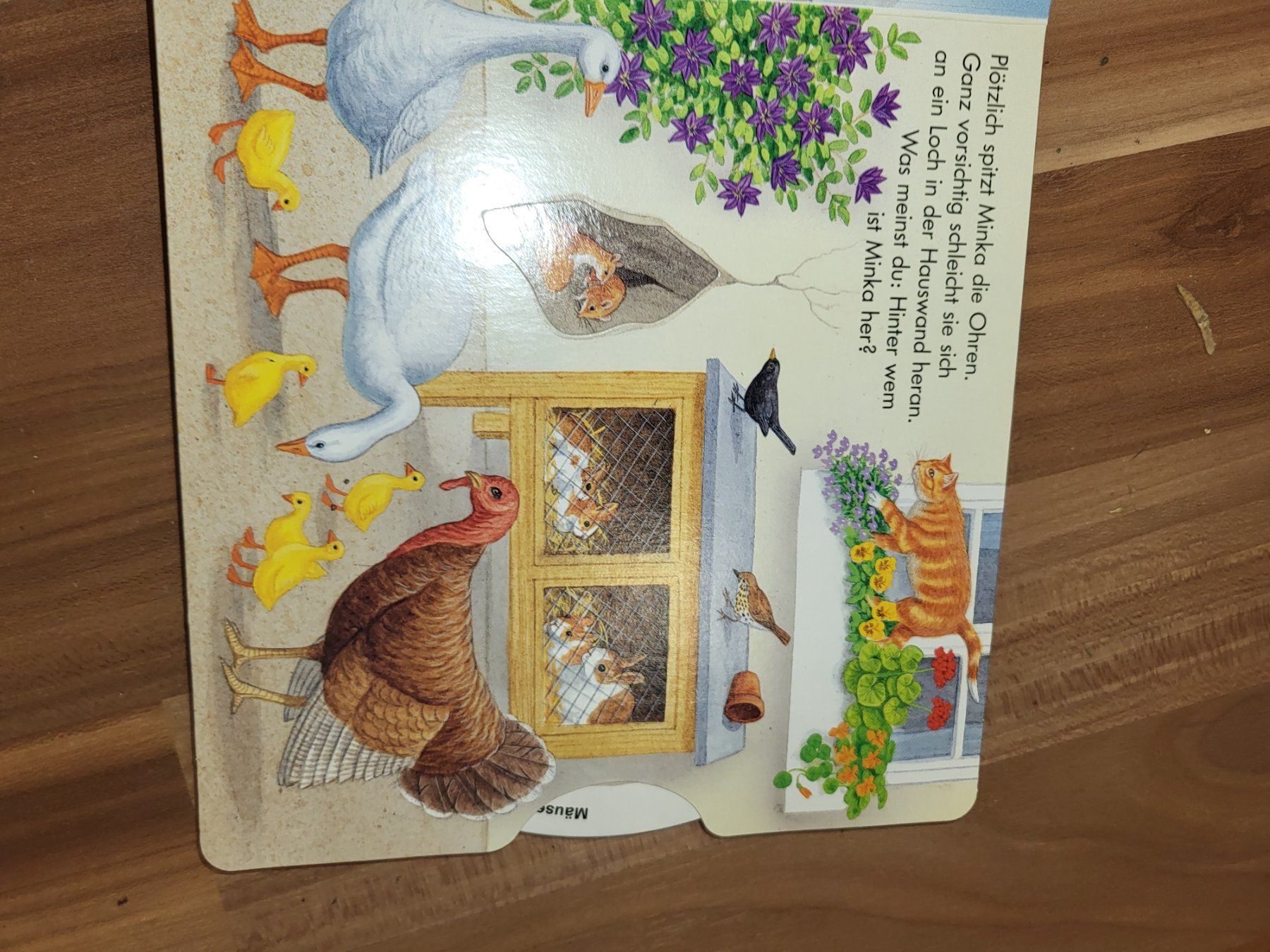 Libri: Drehen und sehen Bsuernhof – Nuovo (secondo la descrizione) da Schwarzenburg venduto da Flamingo07 3