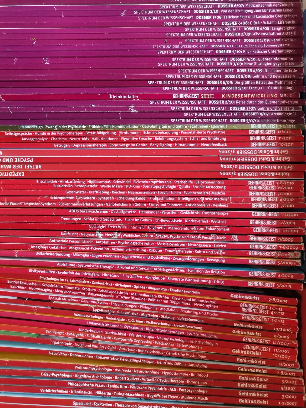 Riviste & Magazine: Grosses Magazin-Paket: Gehirn & Geist – Usato da St. Gallen venduto da Bir_Rer 3