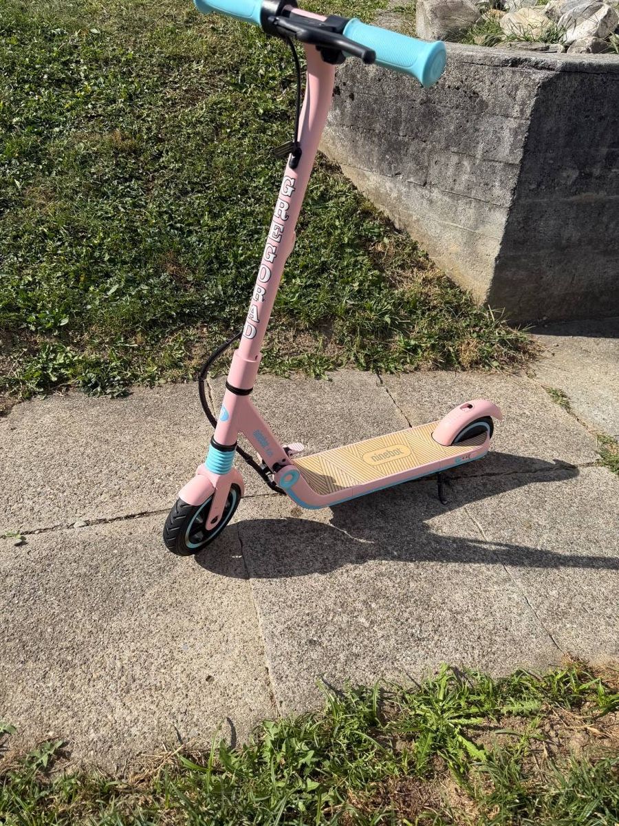 Scooter: Ninebot – Usato da Altstätten SG venduto da ali_f7vk