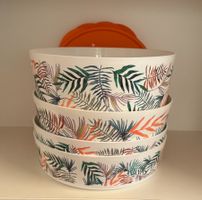 Tupperware - Illumina - Schüssel