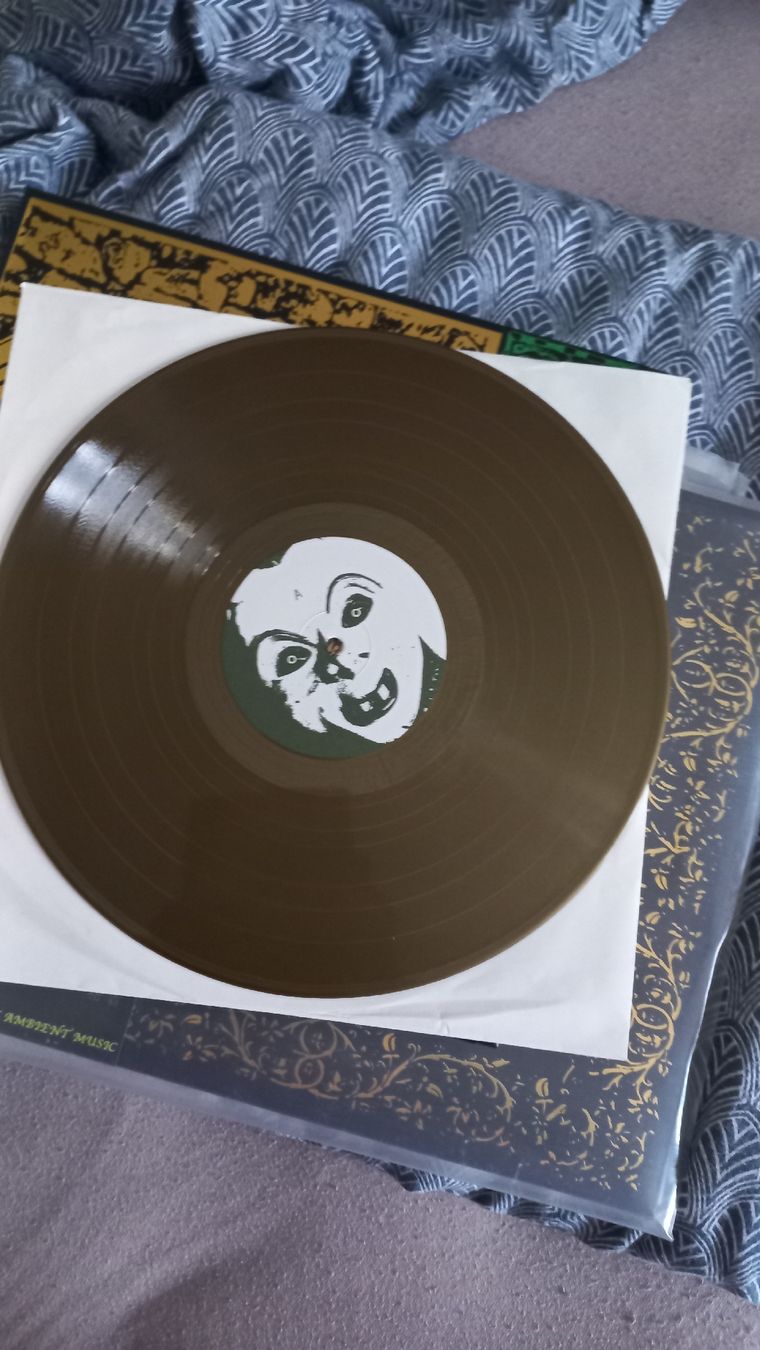 Dischi in vinile: Putrid Marsh-Laughing ..Vinyl Gold LP Dungeon Synth  – Usato da Olten venduto da Donatello1984 2