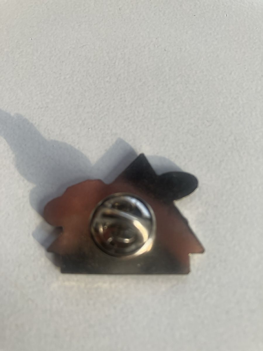 Placchette & Badge: Pin Intersport – Usato da Eschlikon TG venduto da Urs.knopf 1