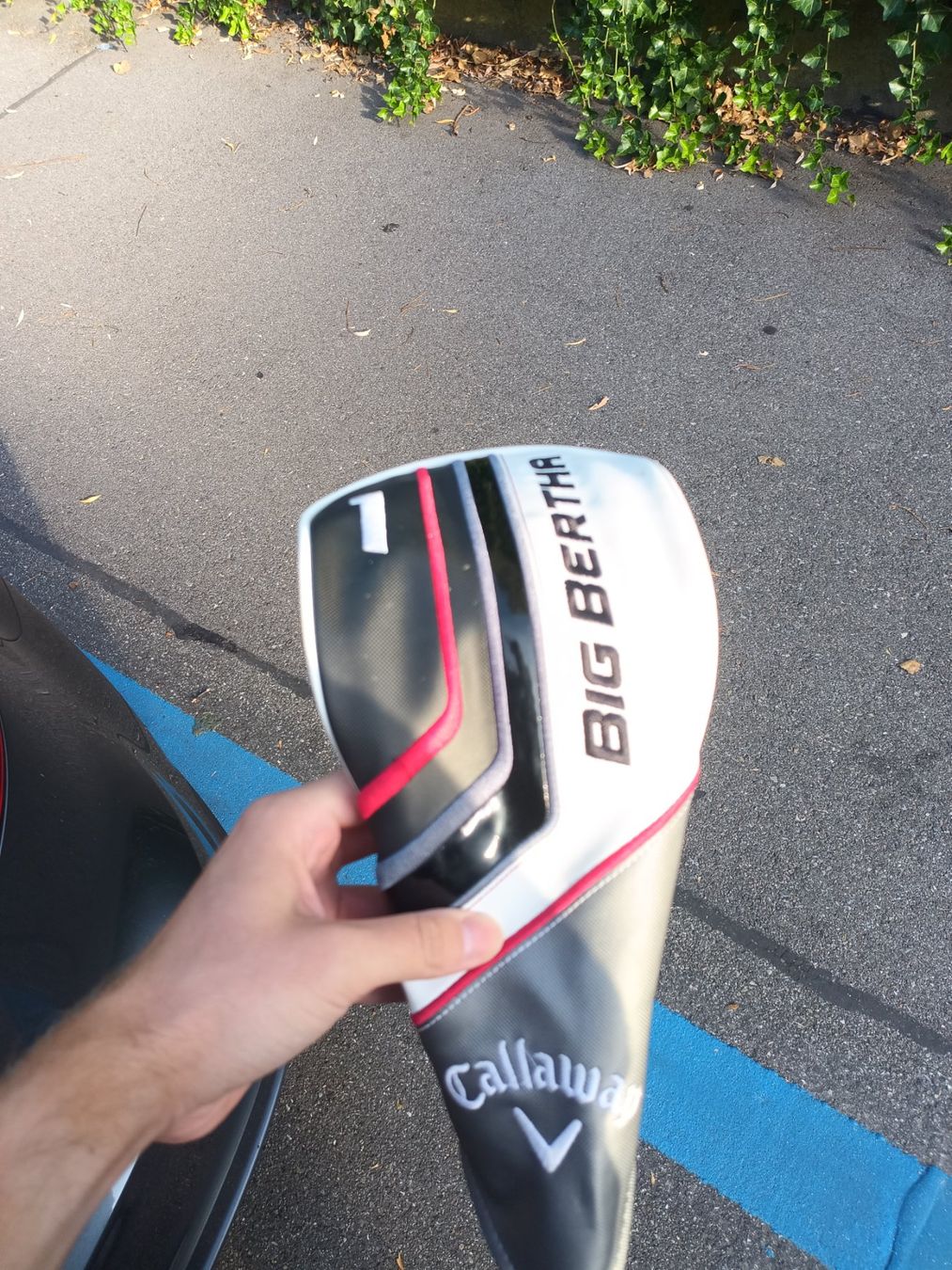 Schläger & Sets: Callaway Big Bertha Driver Headcover – Gebraucht aus Zürich von Louizz
