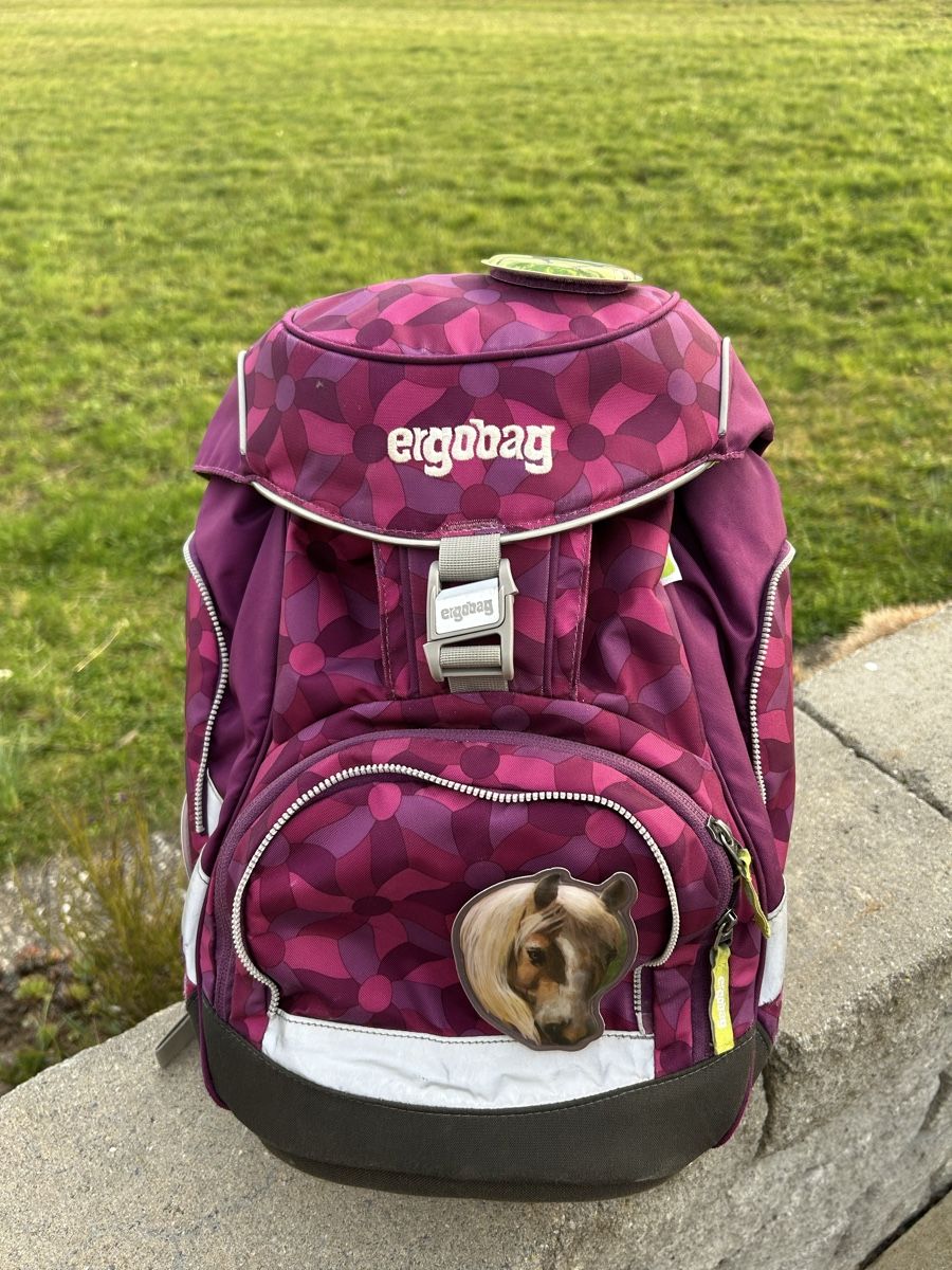 Ergobag Borse & Zaini: Ergobag Schulrucksack Top Zustand – Usato da Nänikon venduto da Mrzulu