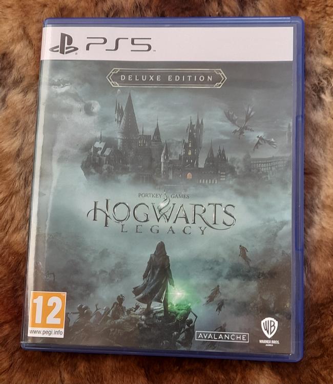 Jeu PS5 WARNER HOGWARTS LEGACY PS5