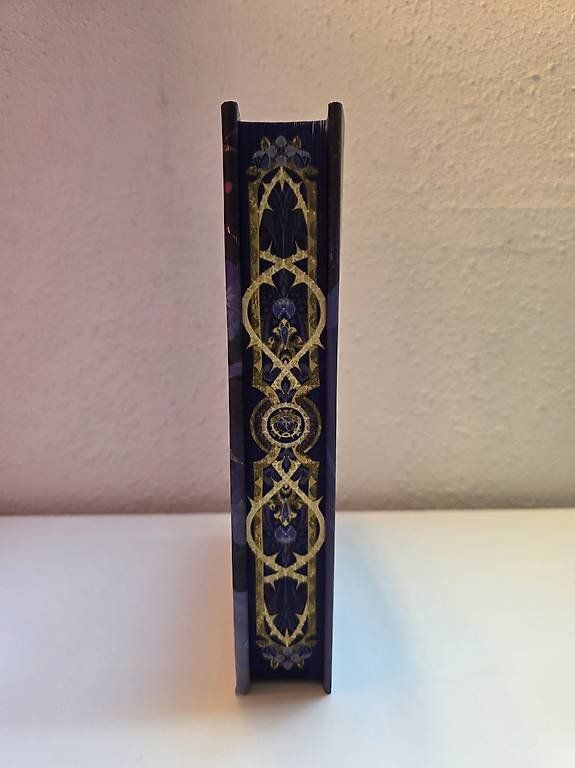 Libri: Fairyloot: Thorn Season – Usato da Schlatt TG venduto da severine99 4