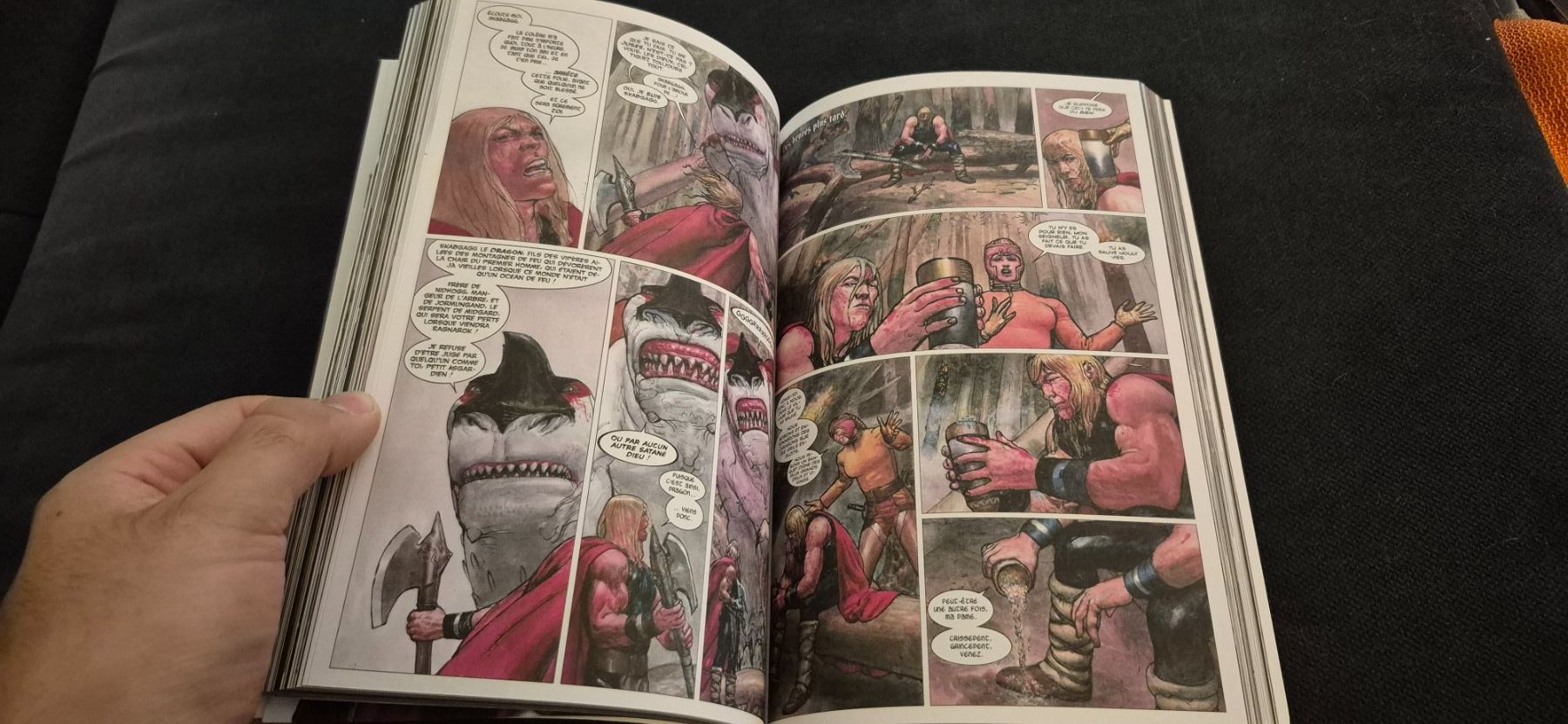 Comics: THOR LE MAUDIT TOME 2 MARVEL COMICS BD FRANÇAIS 2026 – Gebraucht aus Grand-Lancy von luc111 5