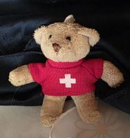 Schlüsselsnhänger Teddy Bär siehe Foto 