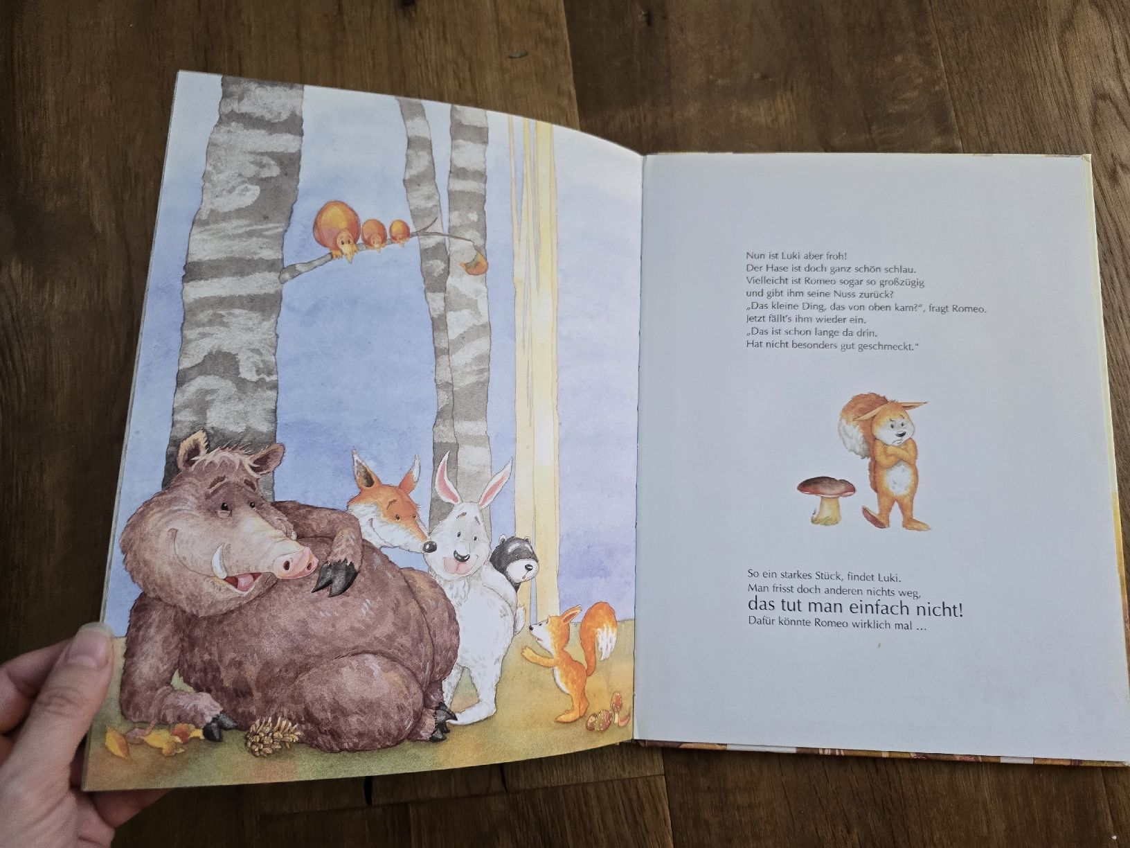 Libri: Kinderbuch "Probier's mal mit Entschuldigung!" neuwertig – Usato da Wittenbach venduto da Tigerlili 7