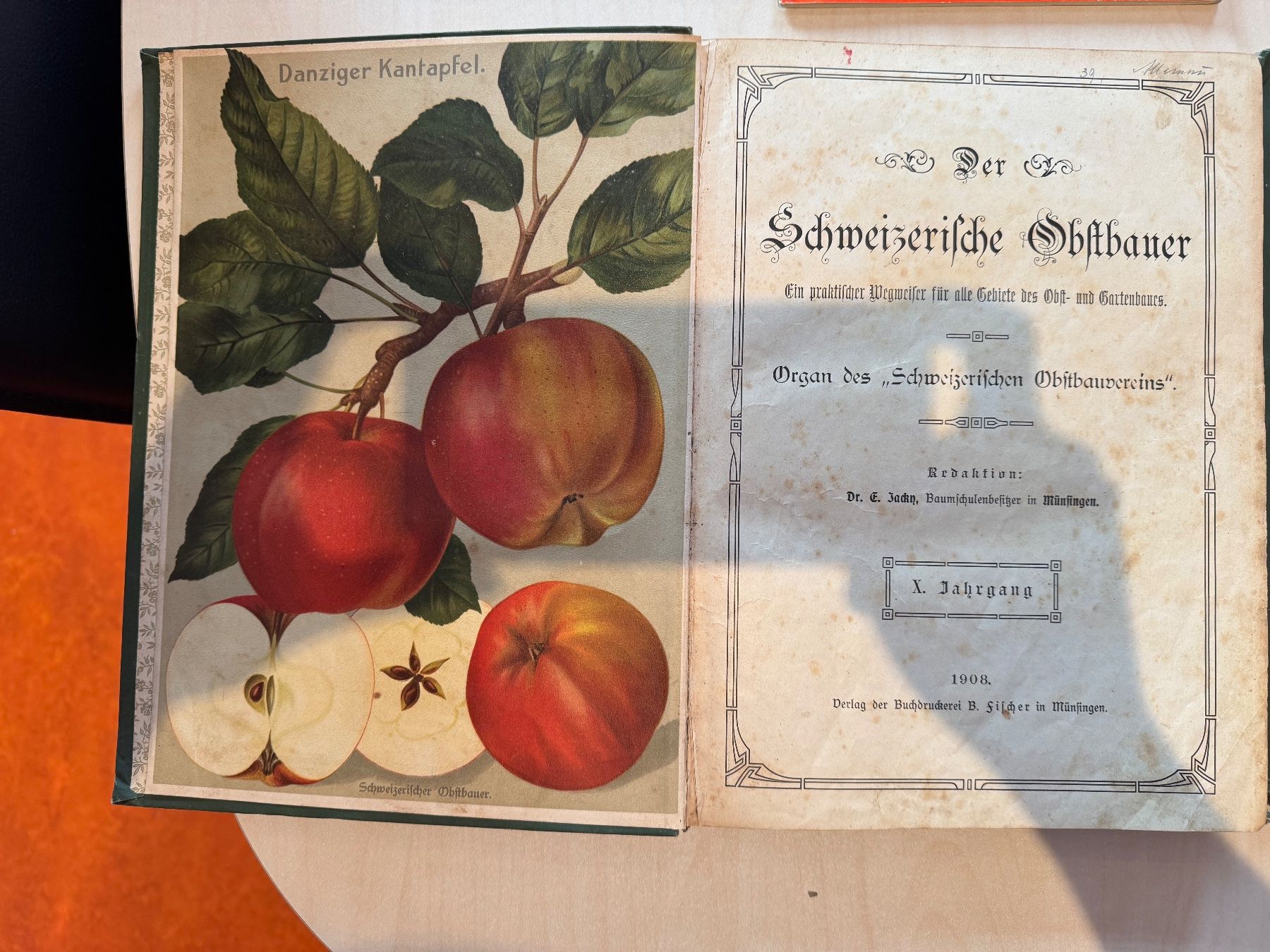 Libri: Der Schweizerische Obstbauer Jahrgänge 1908 und 1909. – Usato da Untervaz venduto da maj_m5xn 1