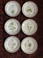 25 teiliges Flora Danica Porzellan Set / Tafelservice