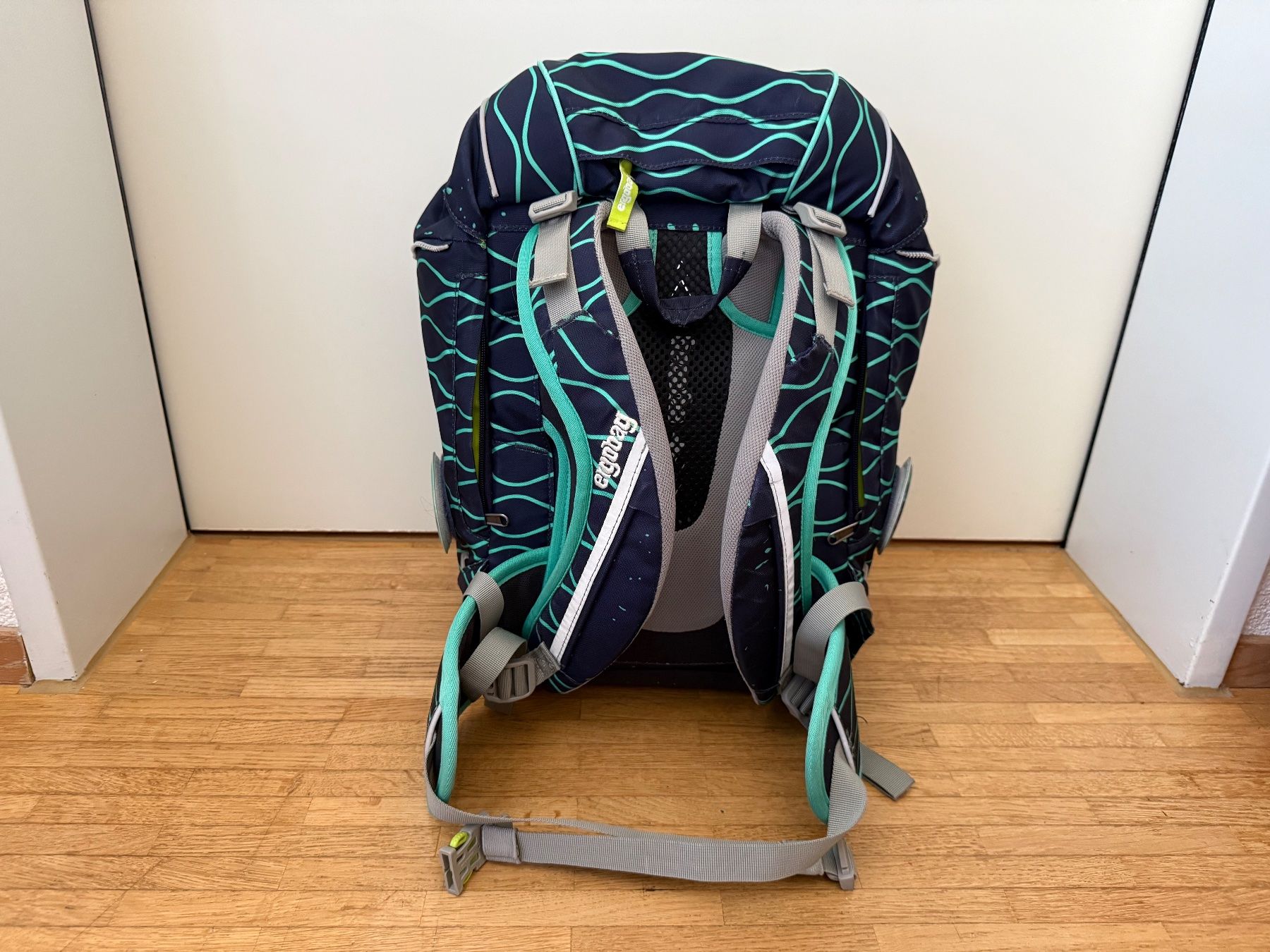 Ergobag Borse & Zaini: Schulthek Schulranze Ergobag Fairy / Fee – Usato da Zürich venduto da Rolik123 2