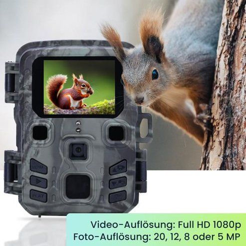 Fotocamera: Kompakte Wildkamera, Full HD, PIR-Sensor – Nuovo (secondo la descrizione) da Horn venduto da toromungo 3